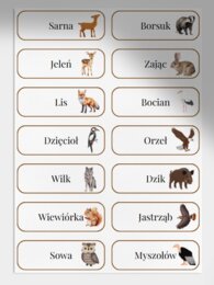 Gra "Leśne epitety"