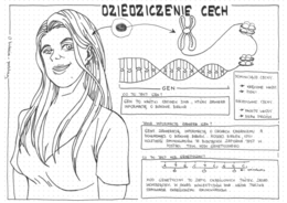 Klasa 8 - Dziedziczenie cech - sketchnotka