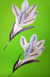 Wiosna, kwiaty, ortografia - puzzle