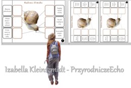 Notatka okienkowa „Budowa ślimaka”, „Mięczaki – zwierzęta, które mają miękkie ciało”. Biologia 6 „Stawonogi i mięczaki”.