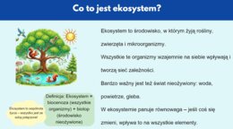 Prezentacja multimedialna. Różne ekosystemy (las, jezioro, góry). Zależności między organizmami