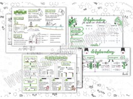 Klasa 8. Chemia. Węglowodory. Alkany, Alkeny, Alkiny, Naturalne źródła węglowodorów. Sketchnotki/Notatki graficzne do całego działu. PAKIET! Karta pracy. Zadanie.