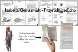 Broszurka/notatka/sketchnotka/wklejka/ściąga dla ucznia/przypomnienie dla nauczyciela w pdf. Biologia 6 „Stawonogi i mięczaki” – „Mięczaki-zwierzęta, które mają muszlę”.