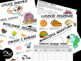 Projekt matematyczny: Utucz Indyka (działania pisemne) – Nauczanie Oparte na Projektach (PBL) dla kl.4-5 (bez ułamków).