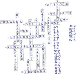 Układ pokarmowy (krzyżówka podsumowanie rozwiązanie)