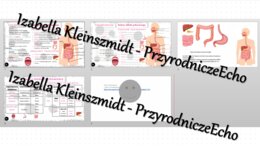 Minizestaw na temat „Budowa i rola układu pokarmowego” – sketchnotka + karta pracy w power point + gratisowy link do prezentacji multimedialnej niekomercyjnej wykonanej w genial.ly do indywidualnego pobrania i użycia do celów niekomercyjnych. Biologia 7,