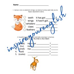 Tiger&Friends 3 - has got/hasn't got