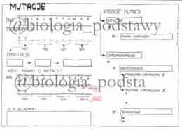 Klasa 8 - Mutacje - karta pracy