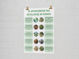 10 sposobów na ekologię w domu. Co to jest ślad węglowy? Plakaty