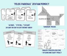 Zestaw pomocy "Pamiętnik Felka Parerasa" gra "Ja mam...", taboo, tangram, rysunkowa karat ze związkami frazeologicznymi