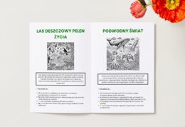 Kolorowanki ekologiczne