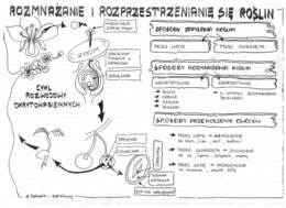 okrytonasienne cz.2 - klasa 5 - sketchnotka