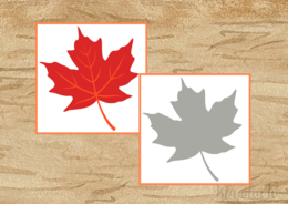 Jesienne listki - cienie