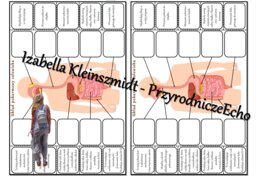Notatka okienkowa/stacja zadaniowe/notatka interaktywna/notatka graficzna/karta pracy/sketchnotka „Budowa układu pokarmowego” w pdf. Biologia 7, dział „Układ pokarmowy”. Materiał wykonany na podstawie podręcznika z wydawnictwa Nowa Era – nowość 2024/2025