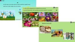 Dzień Pszczoły - interaktywna prezentacja