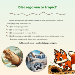 Mini-przewodnik do rozpoznawania śladów zwierząt