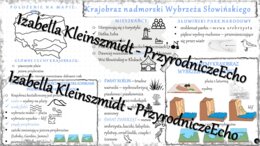 Sketchnotka - notatka „Krajobraz nadmorski Wybrzeża Słowińskiego” wykonana w pdf. Geografia 5; „Krajobrazy Polski”
