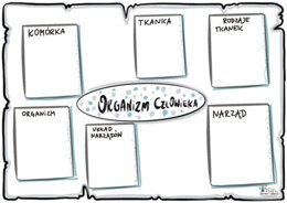 Klasa 7 - Organizm Człowieka - KP