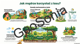 Las ma budowę warstwową przyroda klasa4 sketchnotka