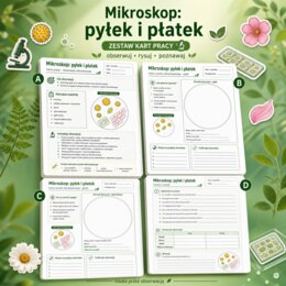 Mikroskop. Pyłek i płatek