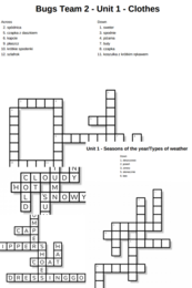 Bugs Team 2 – Unit 1 – krzyżówki – Clothes/Seasons of the year_Types of weather
