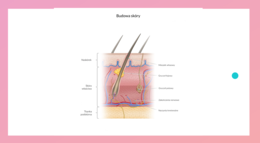 Organizm człowieka jako funkcjonalna całość + skóra KLASA 3 ROZSZERZENIE BIOLOGIA