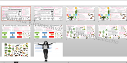 Zestaw sketchnotek i kart pracy + gratisowe linki do prezentacji multimedialnych niekomercyjnych wykonanych w genial.ly do indywidualnego pobrania i użycia do celów niekomercyjnych. Przyroda 4, „Poznajemy świat organizmów”