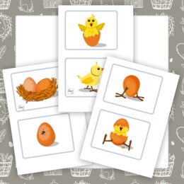 Historyjka obrazkowa - Wyklucie kurczaka