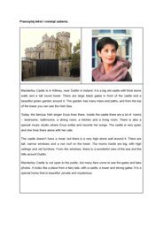 Brainy 5 Unit 2: Enya’s Castle – ćwiczenia z there is / there are