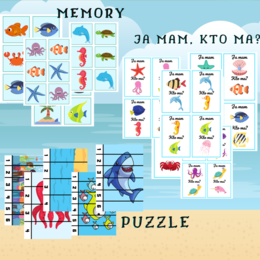 DZIEŃ OCEANÓW / DZIEŃ PLAŻOWY