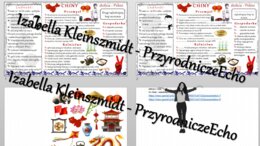 Minizestaw na temat „Chiny - najludniejsze państwo świata” – sketchnotka + karta pracy w power point + gratisowy link do prezentacji multimedialnej niekomercyjnej wykonanej w genial.ly do indywidualnego pobrania i użycia do celów niekomercyjnych. Geograf