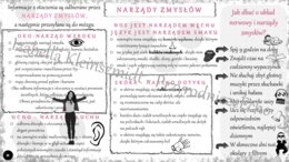 Sketchnotka „Narządy zmysłów” w power point do edycji, PRZYRODA do klasy 4 – dział IV „Odkrywamy tajemnice ciała człowieka”