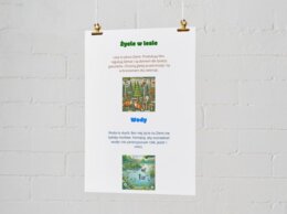 Plakaty edukacyjne. Życie w lesie. Wody. Owady. Ptaki. Nie śmieć w lesie. Każda kropla jest cenna. Ratujmy drzewa.