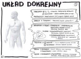 Biologia. Układ dokrewny - wklejka 3