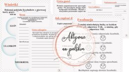 Liczebniki - karty pracy + prezentacja gratis