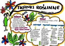 Klasa 5. Biologia. Tkanki roślinne (karta pracy kolorowa)