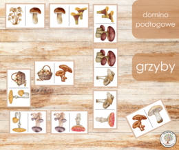 Domino podłogowe - grzyby