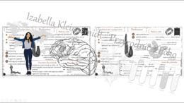 Sketchnotka - notatka „Pierścienice – zwierzęta, które mają segmentowane ciało” wykonana w power point do edycji. Biologia 6; „Od parzydełkowców do pierścienic”