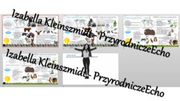 Minizestaw na temat „Krajobrazy tajgi i tundry”– sketchnotka + karta pracy w power point + gratisowy link do prezentacji multimedialnej niekomercyjnej wykonanej w genial.ly do indywidualnego pobrania i użycia do celów niekomercyjnych. Geografia klasa 5, 