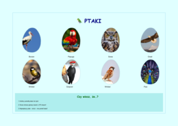 Plansze z gatunkami zwierząt (ssaki, ryby, ptaki, owady)