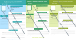 Zestaw biologicznych podań o pracę (rośliny, narządy, ekologia)