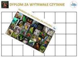 Dyplom za czytanie- papugi, zachęta do czytania