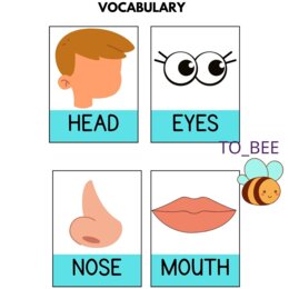 Body parts/ Parts of the body