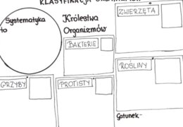 Klasyfikacja organizmów (karta pracy)