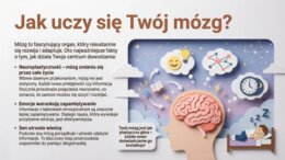 Style uczenia się (gazetka szkolna / prezentacja)