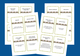 Z KSIĄŻKĄ W TLE - frazeologizmy - Dzień Książki – fiszki – 16 szt. kl. 4-8 – egzamin – powtórzenie- ćwiczenia – związki frazeologiczne