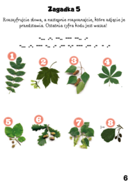 Ekologiczny Escape Room "Ocalić Ziemię" dla klas 5-8