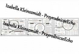 Zestaw sketchnotek – notatek do całego działu „Biologia i chemia” - wykonanych w power point do edycji. Chemia 8