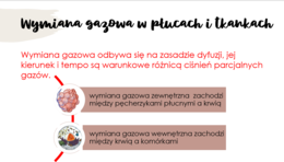 Układ oddechowy KLASA 2 PODSTAWA BIOLOGIA