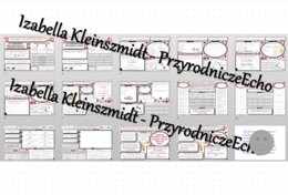 Zestaw sketchnotek i kart pracy + gratisowe linki do prezentacji multimedialnych niekomercyjnych wykonanych w genial.ly do indywidualnego pobrania i użycia do celów niekomercyjnych. Chemia 7 lub 8, „Kwasy”